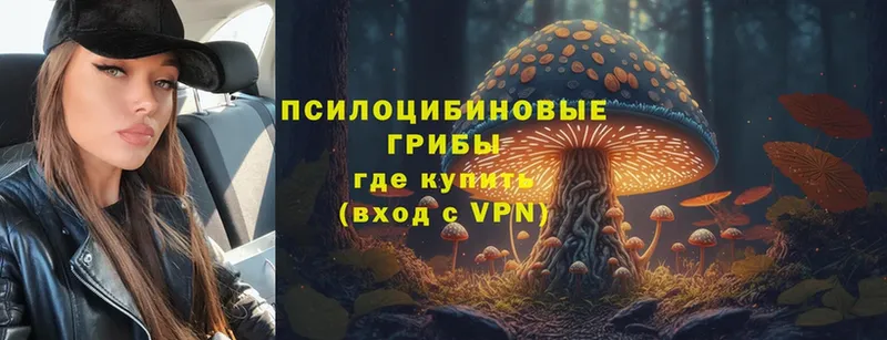 Псилоцибиновые грибы Psilocybe  МЕГА маркетплейс  Армянск 